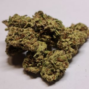 buy Bluedream toronto