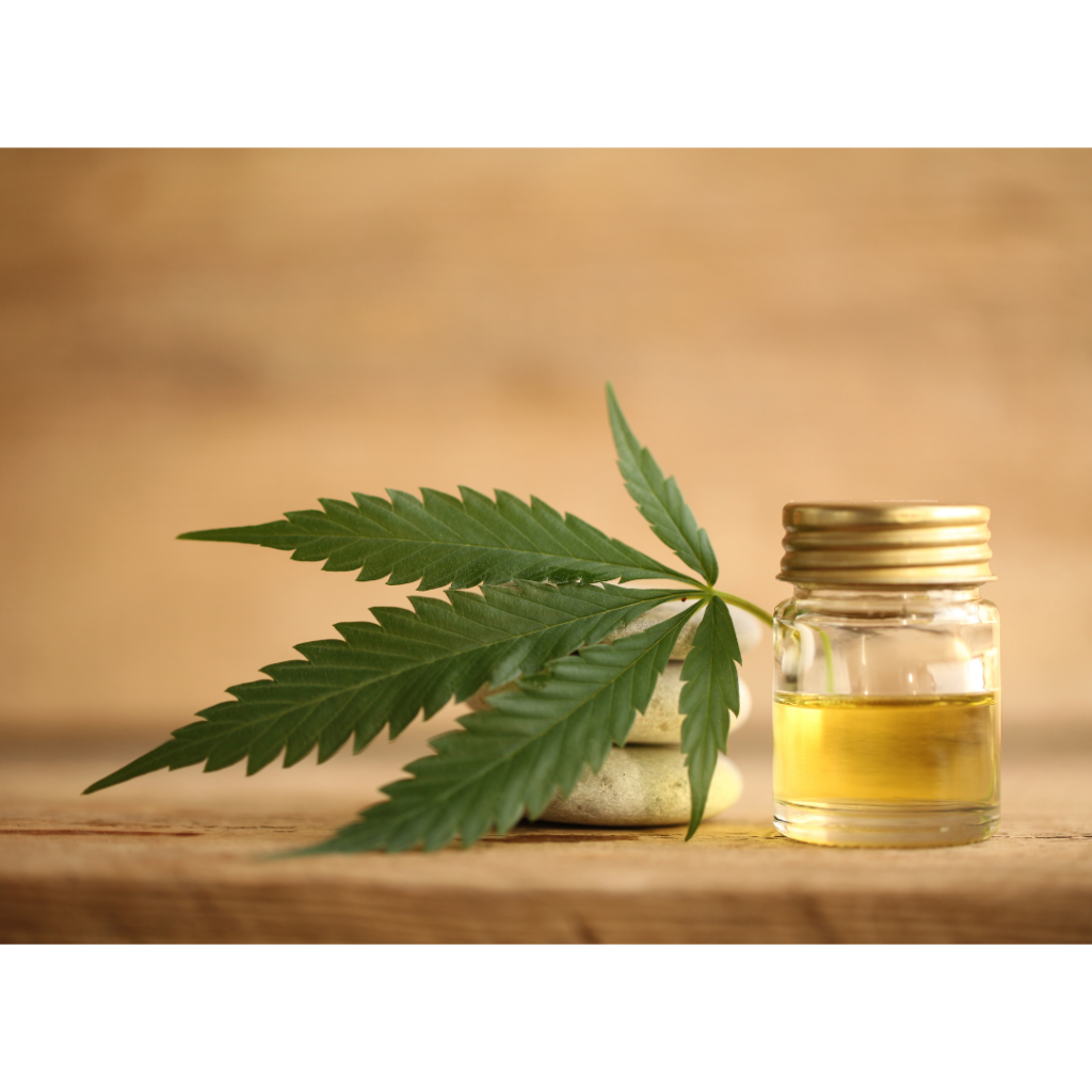 [Weed On A Budget}-[oil]